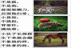动物优美句子十句