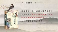 红楼春趣课文思维导图